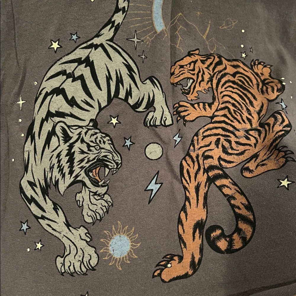 Full Tilt Kids Tee with Tiger Design - Dark Gray